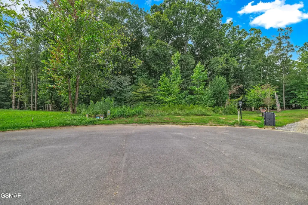 11 Stokley Court Dandridge TN 37725