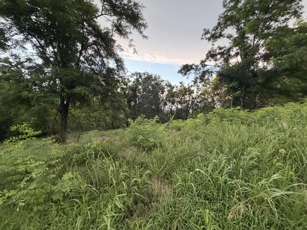 415 Canterbury Rise Franklin TN 37067