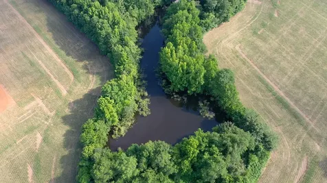 0 Davis Mill Road Trenton KY 42286