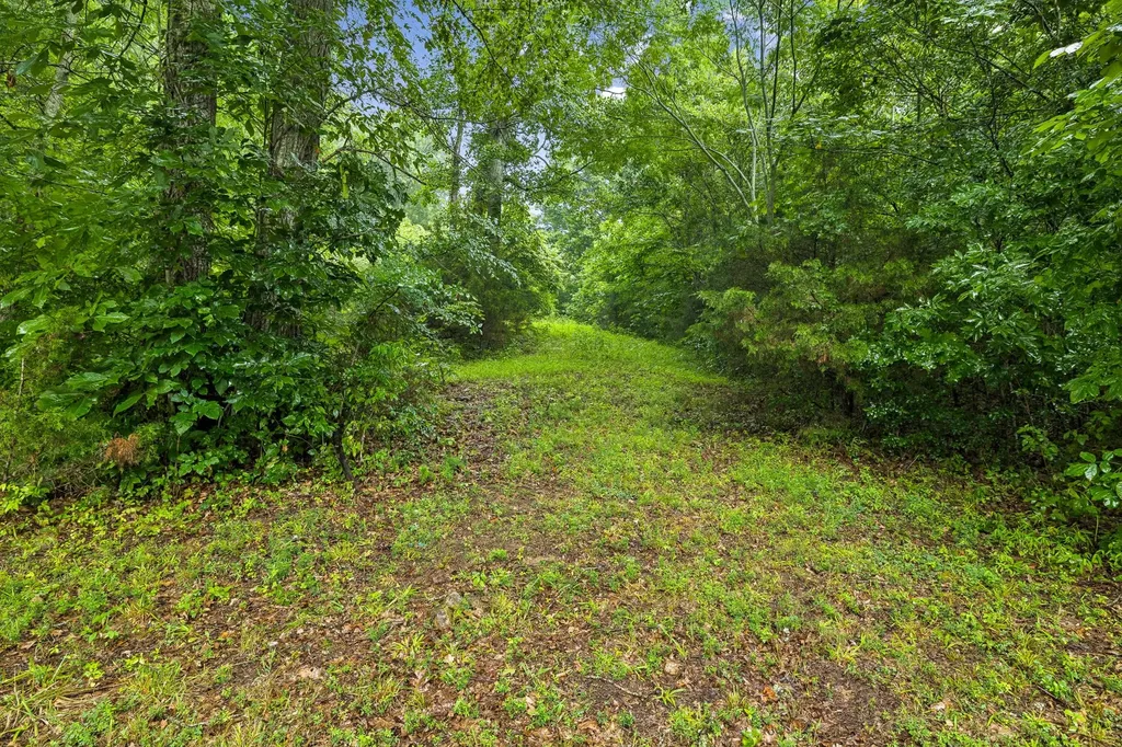 119 Dyer Branch Road Gordonsville TN 38563
