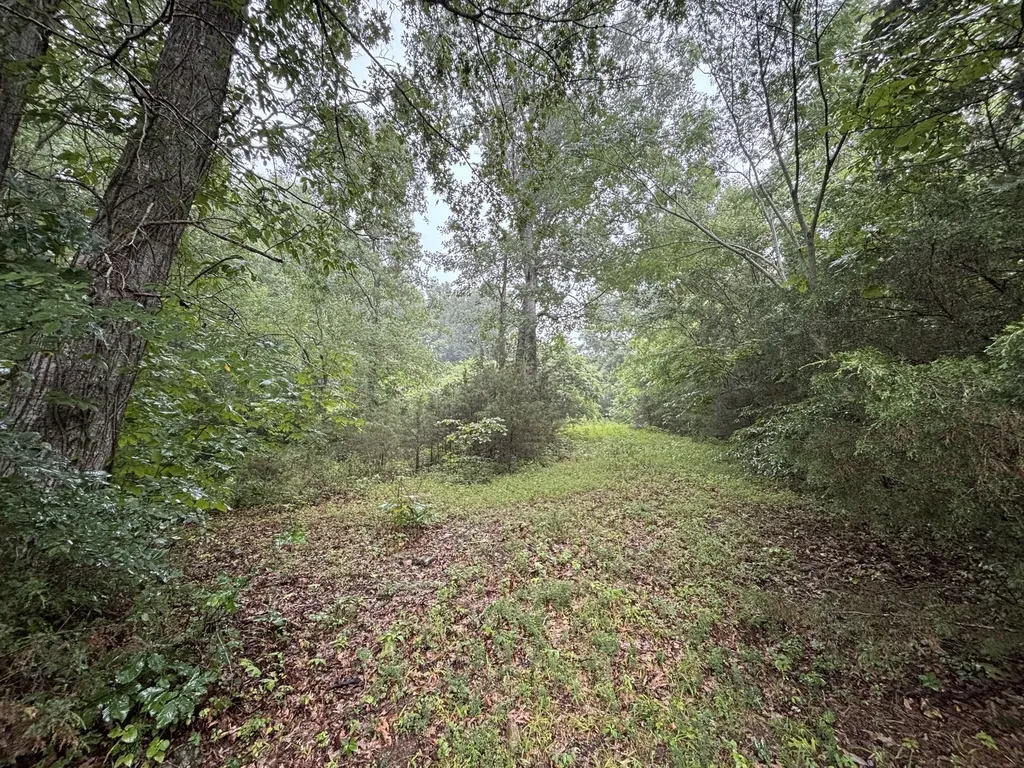 119 Dyer Branch Road Gordonsville TN 38563
