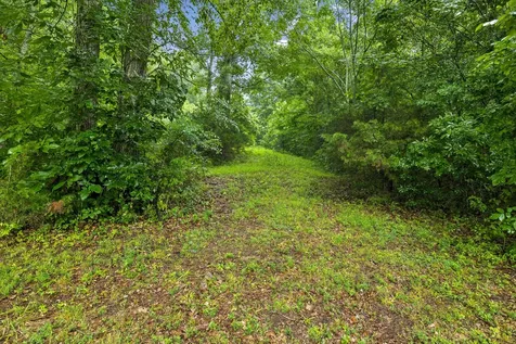 119 Dyer Branch Road Gordonsville TN 38563