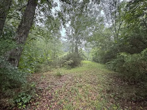 119 Dyer Branch Road Gordonsville TN 38563