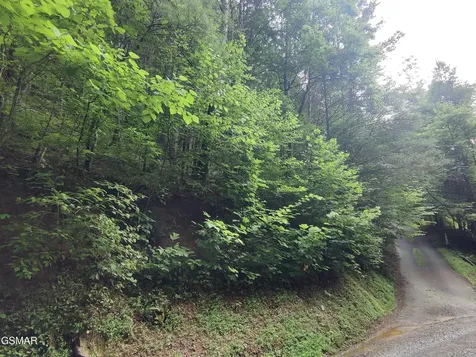0 Old Hag Hollow Way Sevierville TN 37876
