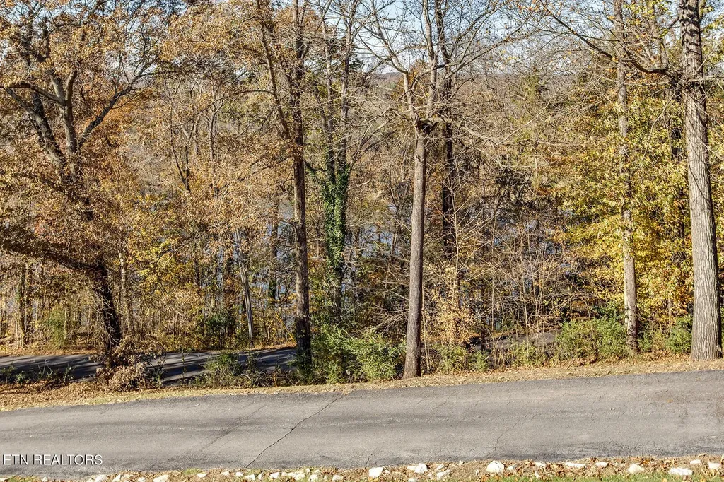 417 River Road Loudon TN 37774