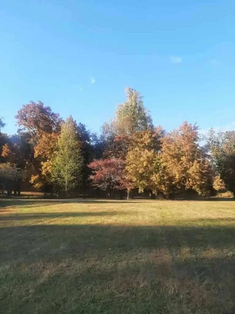420 Shangri Lane Woodbury TN 37190