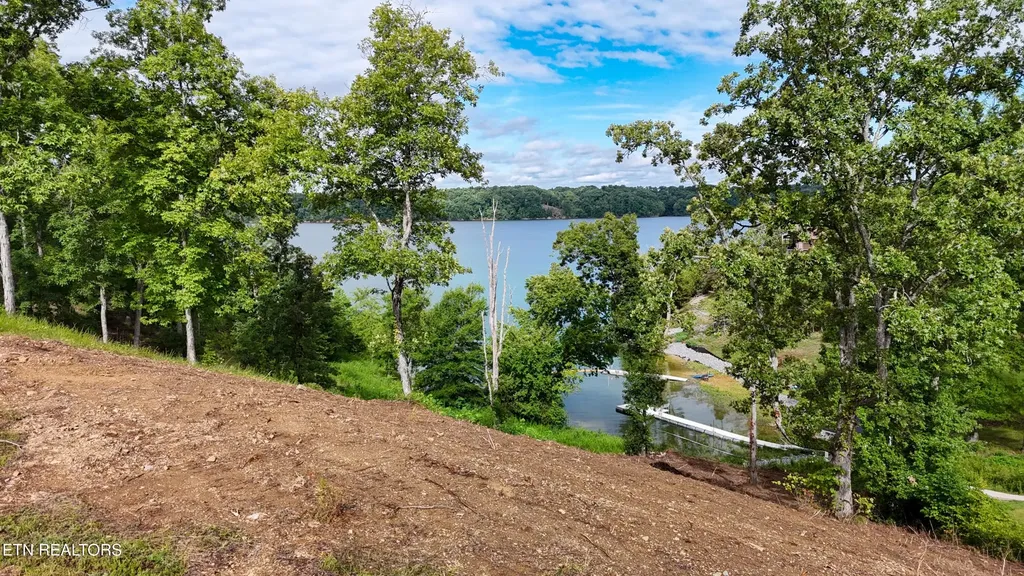 57 Stone Harbor Drive Dandridge TN 37725