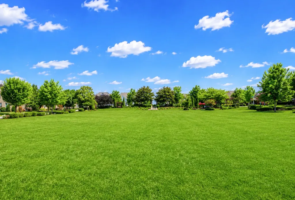 318 Caysens Square Lane Franklin TN 37064