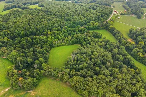 1150 Bell Hollow Road Vanleer TN 37181