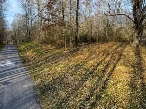 0 Muskie Way Scottsville KY 42164