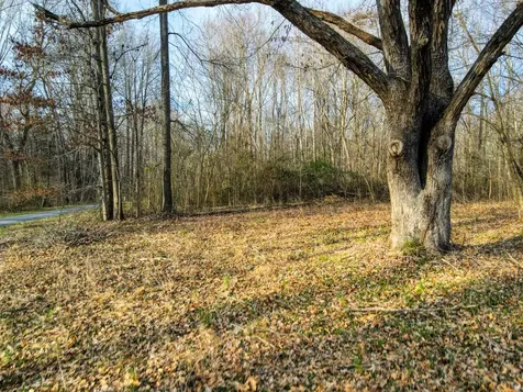 0 Muskie Way Scottsville KY 42164