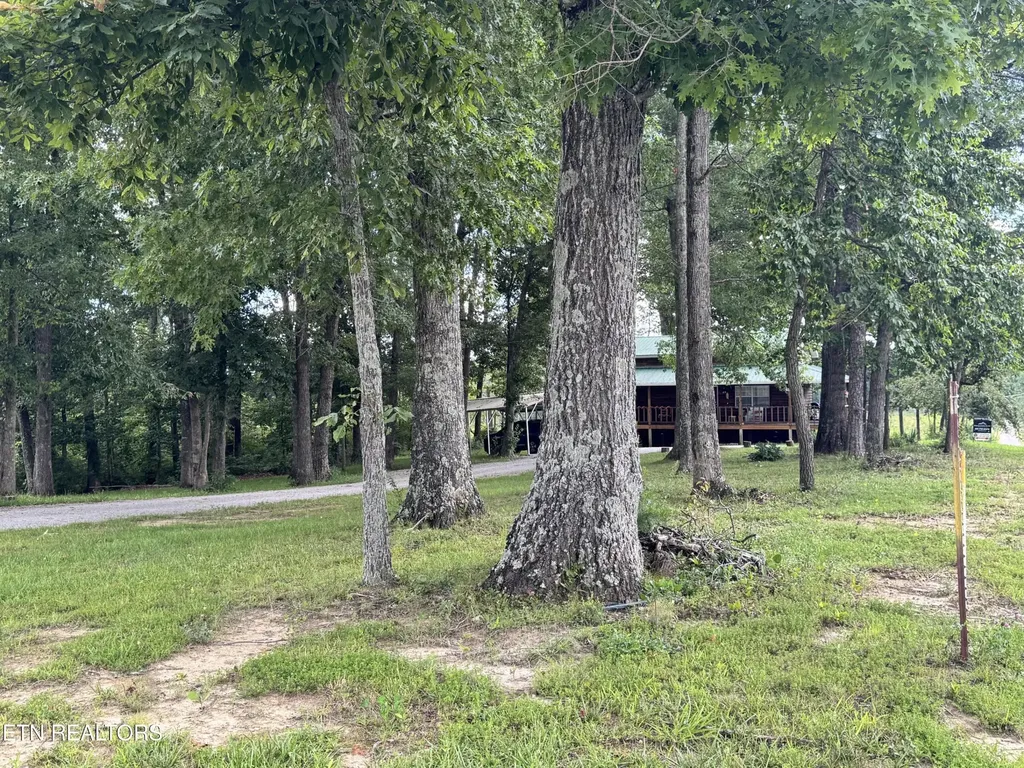 6105 S York Highway Clarkrange TN 38553