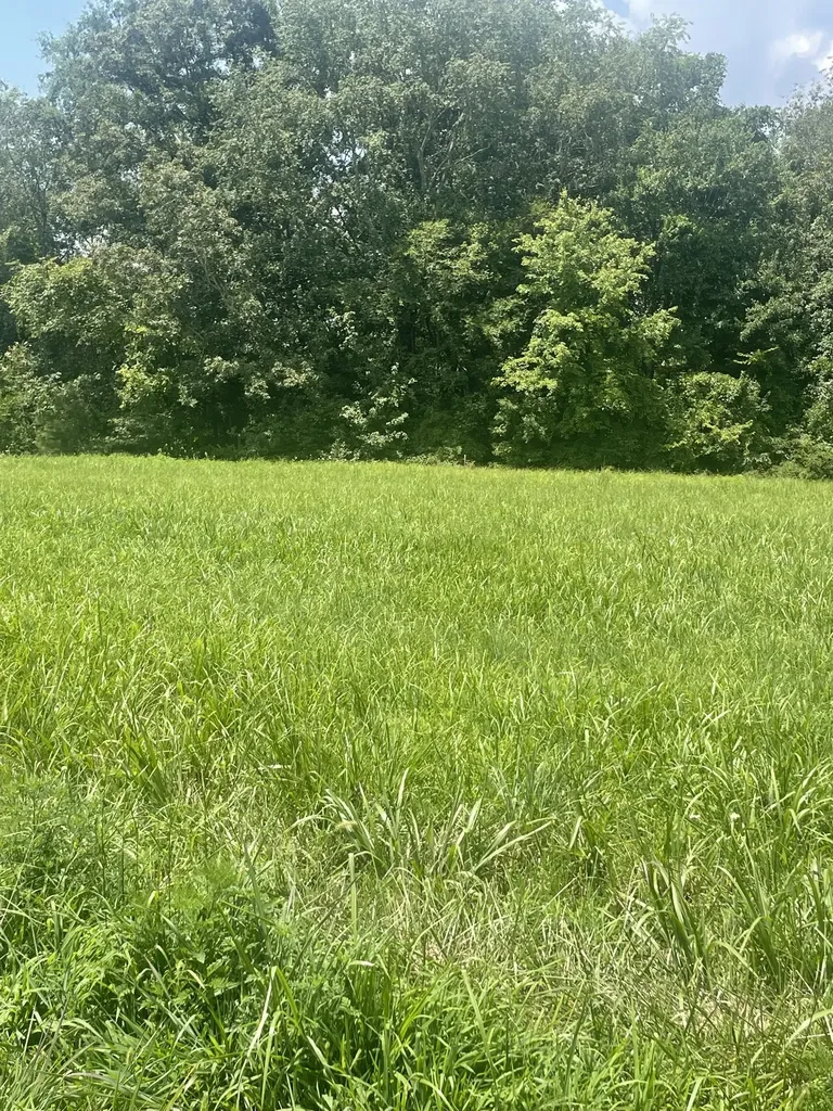 0 Summer Lake Winchester TN 37398