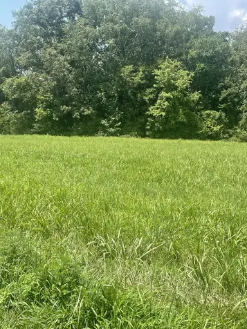 0 Summer Lake Winchester TN 37398