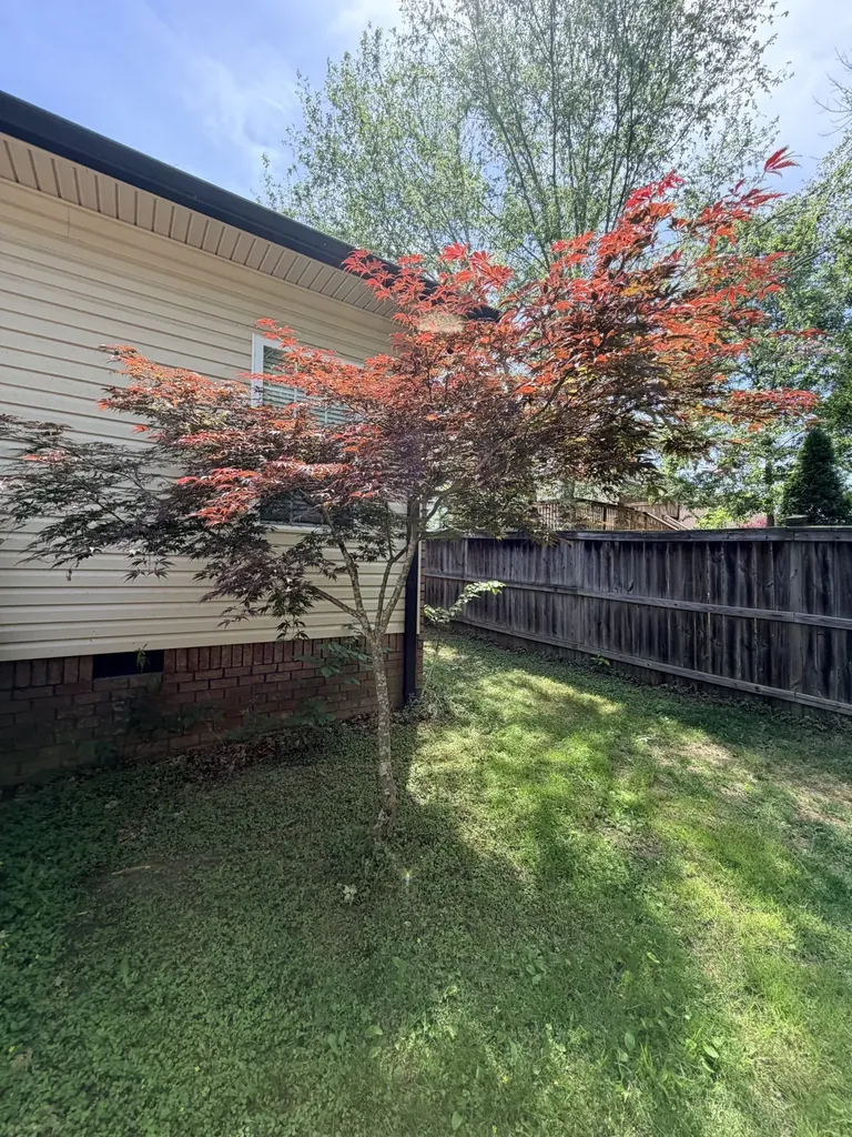 241 Quad Oak Drive Mount Juliet TN 37122
