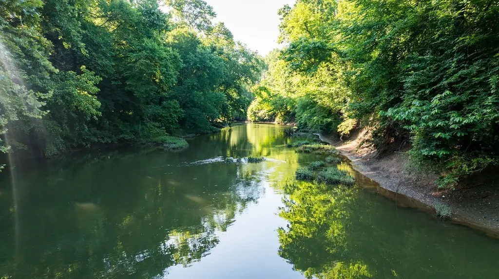 426 Cotton Lane Franklin TN 37069