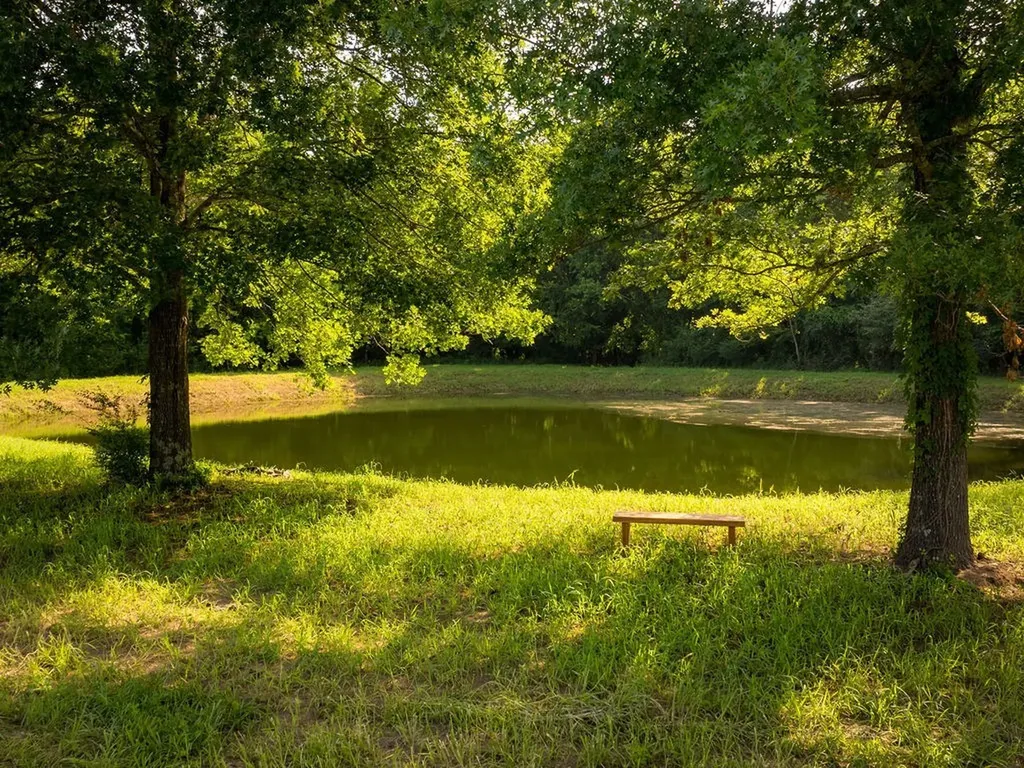 426 Cotton Lane Franklin TN 37069