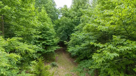 0 Eagle Cliff Road Monteagle TN 37356