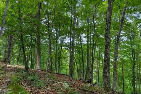 0 Eagle Cliff Road Monteagle TN 37356