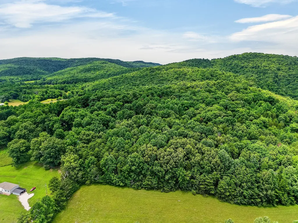 9249 Monterey Highway Sparta TN 38583