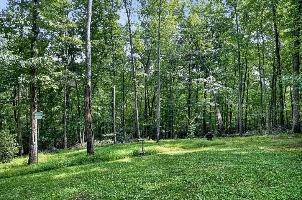 45 Point Place Monterey TN 38574