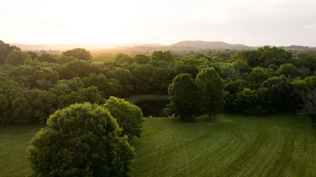 426 Cotton Lane Franklin TN 37069