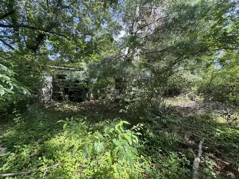9108 Highway 20 Summertown TN 38483