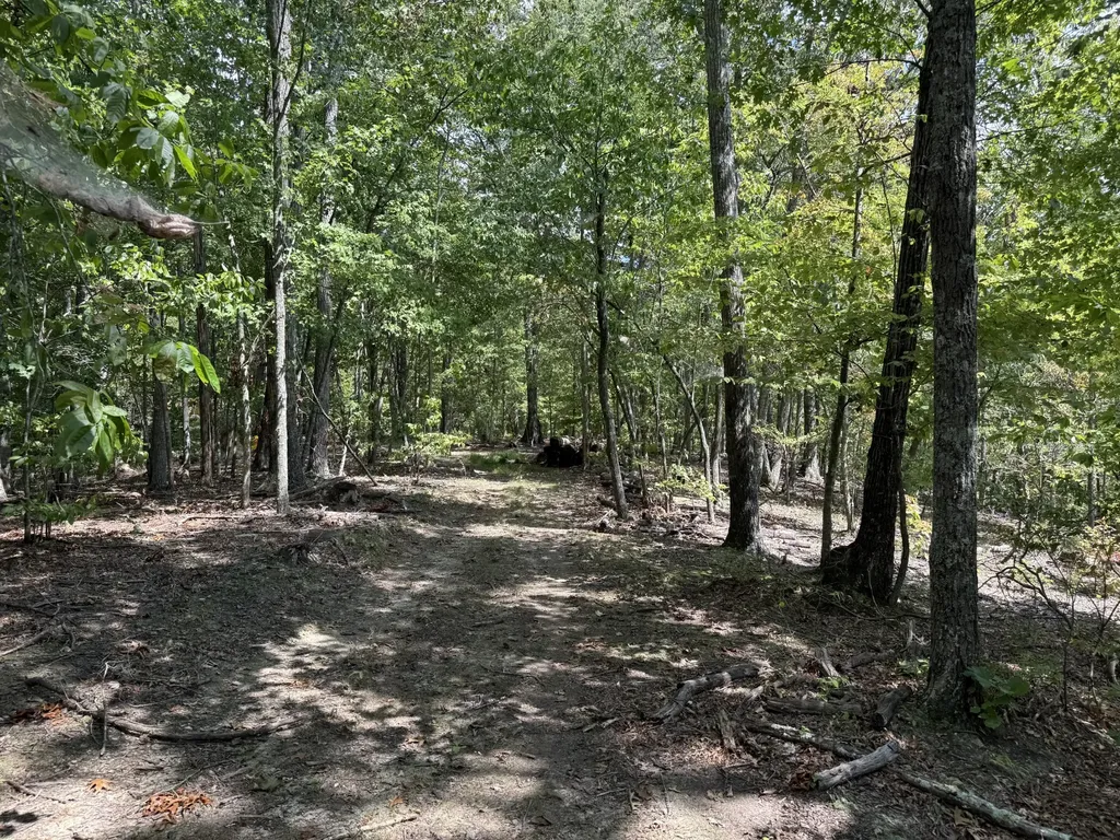 0 Spence Lane Hilham TN 38568