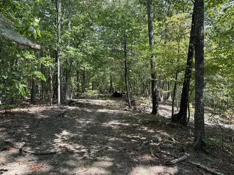 0 Spence Lane Hilham TN 38568
