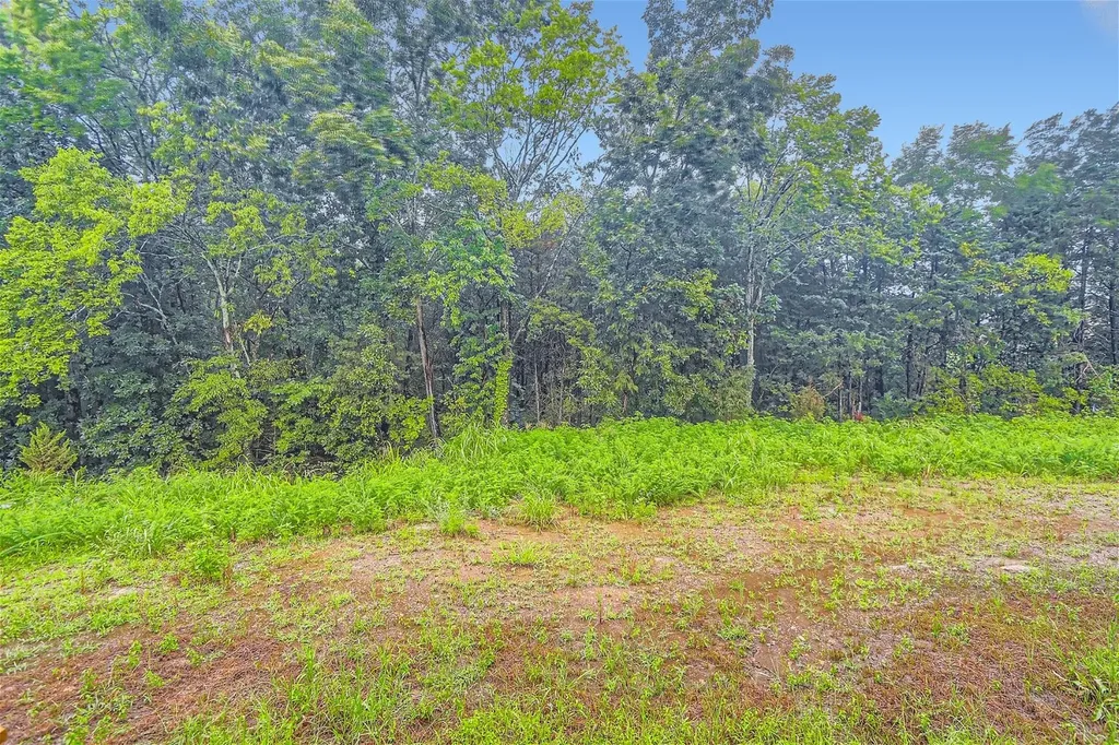 1157 Alcove Way Antioch TN 37013