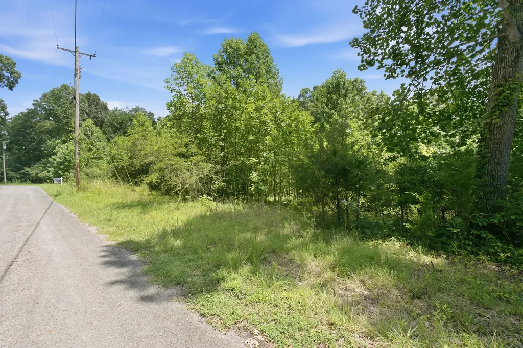 0 Trailwood Court Joelton TN 37080