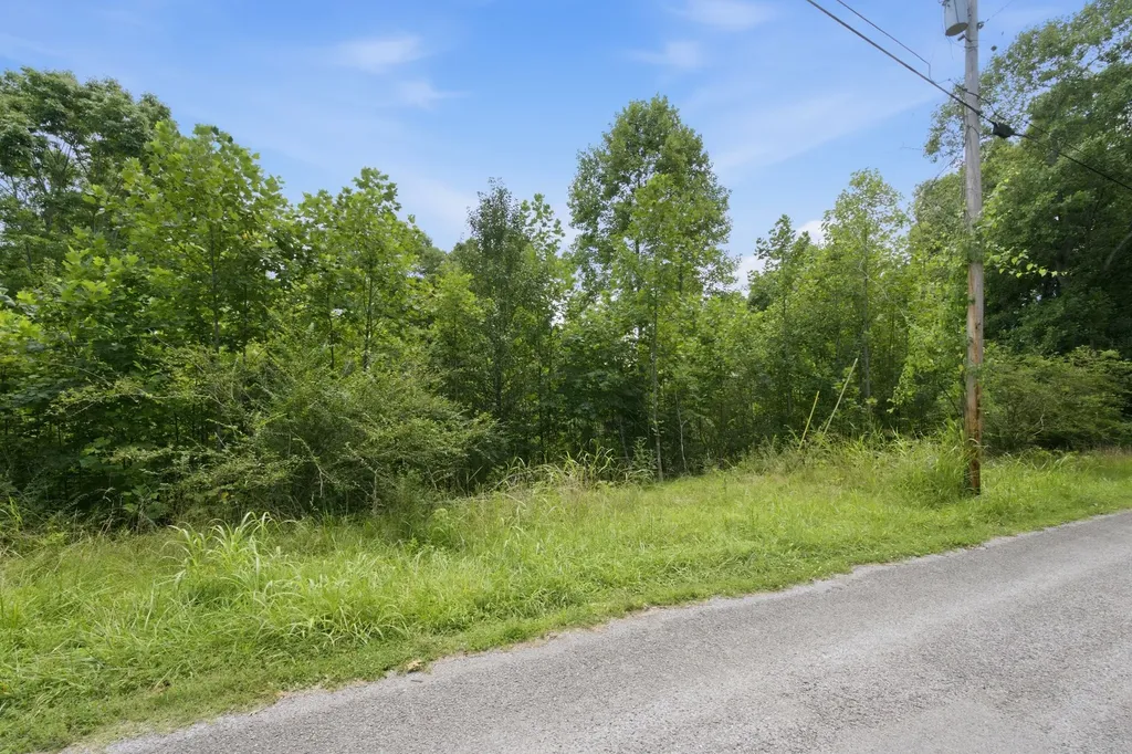 0 Trailwood Court Joelton TN 37080