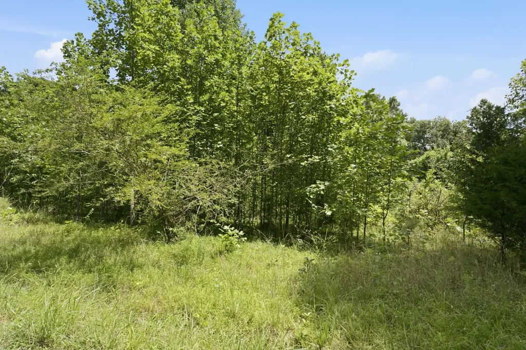 0 Trailwood Court Joelton TN 37080