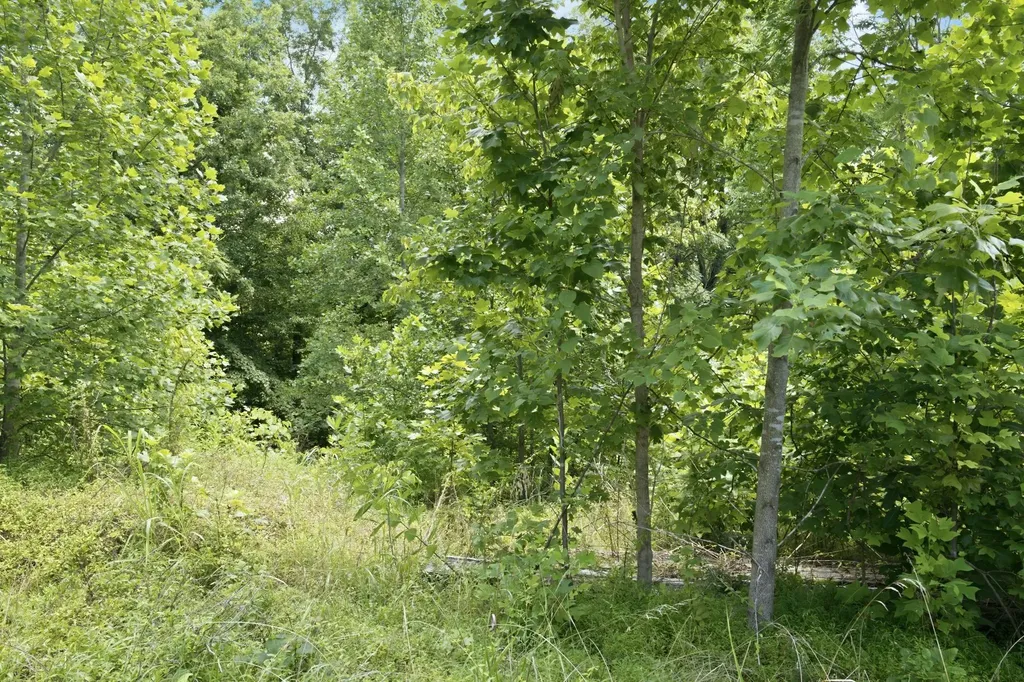 0 Trailwood Court Joelton TN 37080