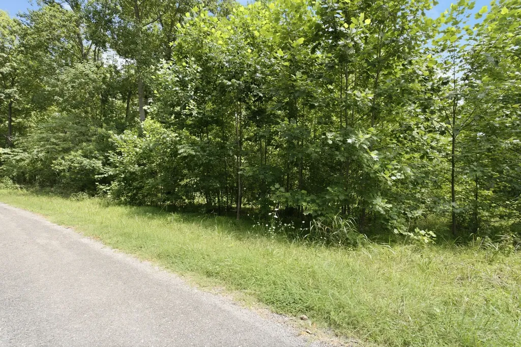 0 Trailwood Court Joelton TN 37080