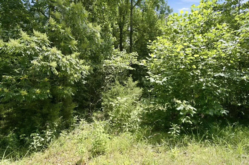 0 Trailwood Court Joelton TN 37080