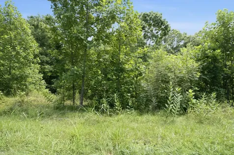 0 Trailwood Court Joelton TN 37080