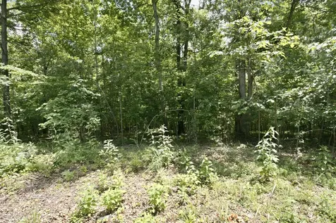 0 Trailwood Court Joelton TN 37080