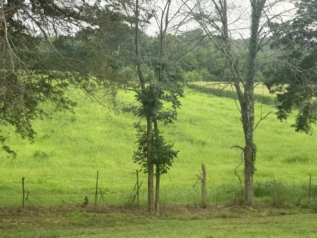 0 Burford Road Lebanon TN 37087