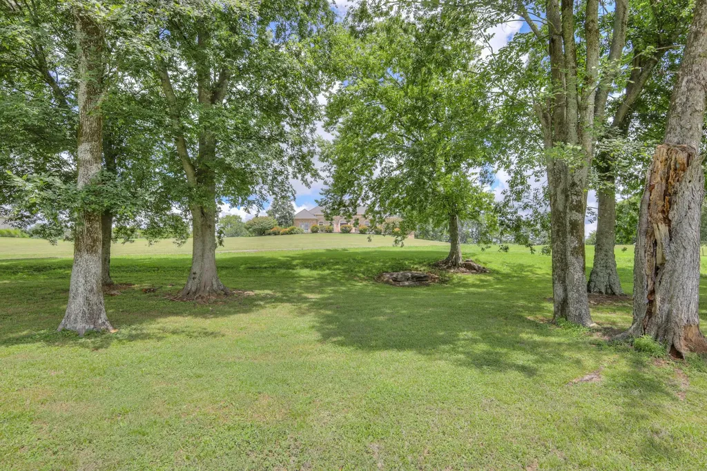 1110 Sequoya Trail Columbia TN 38401