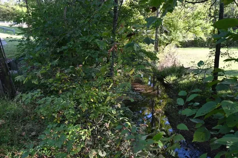 2222 Waynesboro Highway Hohenwald TN 38462