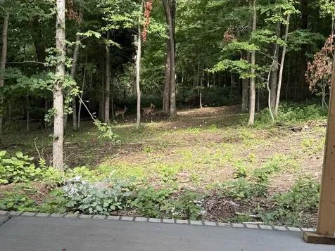 4412 Old Murfreesboro Road, W Lebanon TN 37090