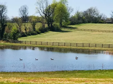 576 Womack Road Bethpage TN 37022