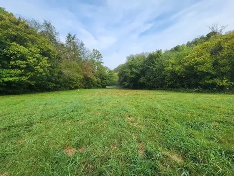 0 Webster Branch Lane Whitleyville TN 38588