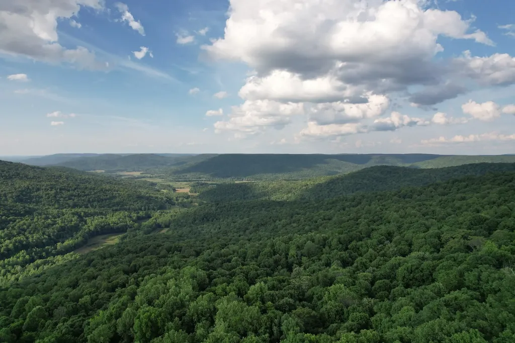 3 Blackberry Road Beersheba Springs TN 37305