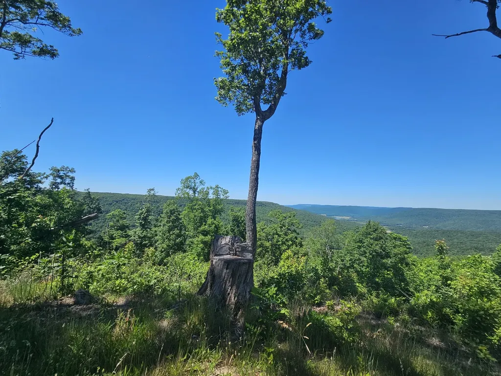 3 Blackberry Road Beersheba Springs TN 37305