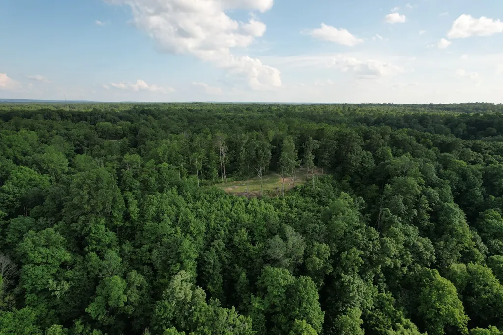 3 Blackberry Road Beersheba Springs TN 37305