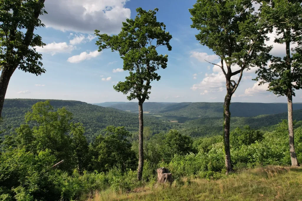 3 Blackberry Road Beersheba Springs TN 37305