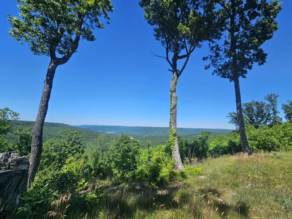 3 Blackberry Road Beersheba Springs TN 37305