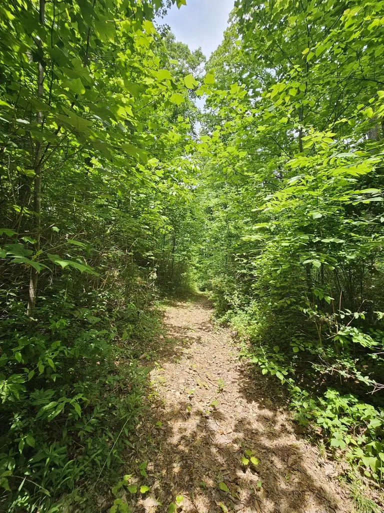 3 Blackberry Road Beersheba Springs TN 37305